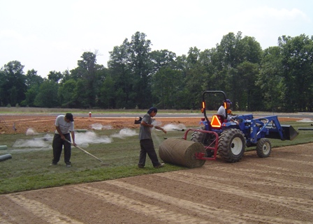 Laying Sod