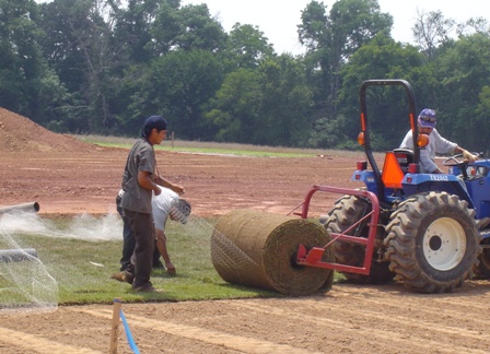 Laying Sod