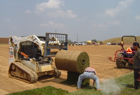 Laying Sod